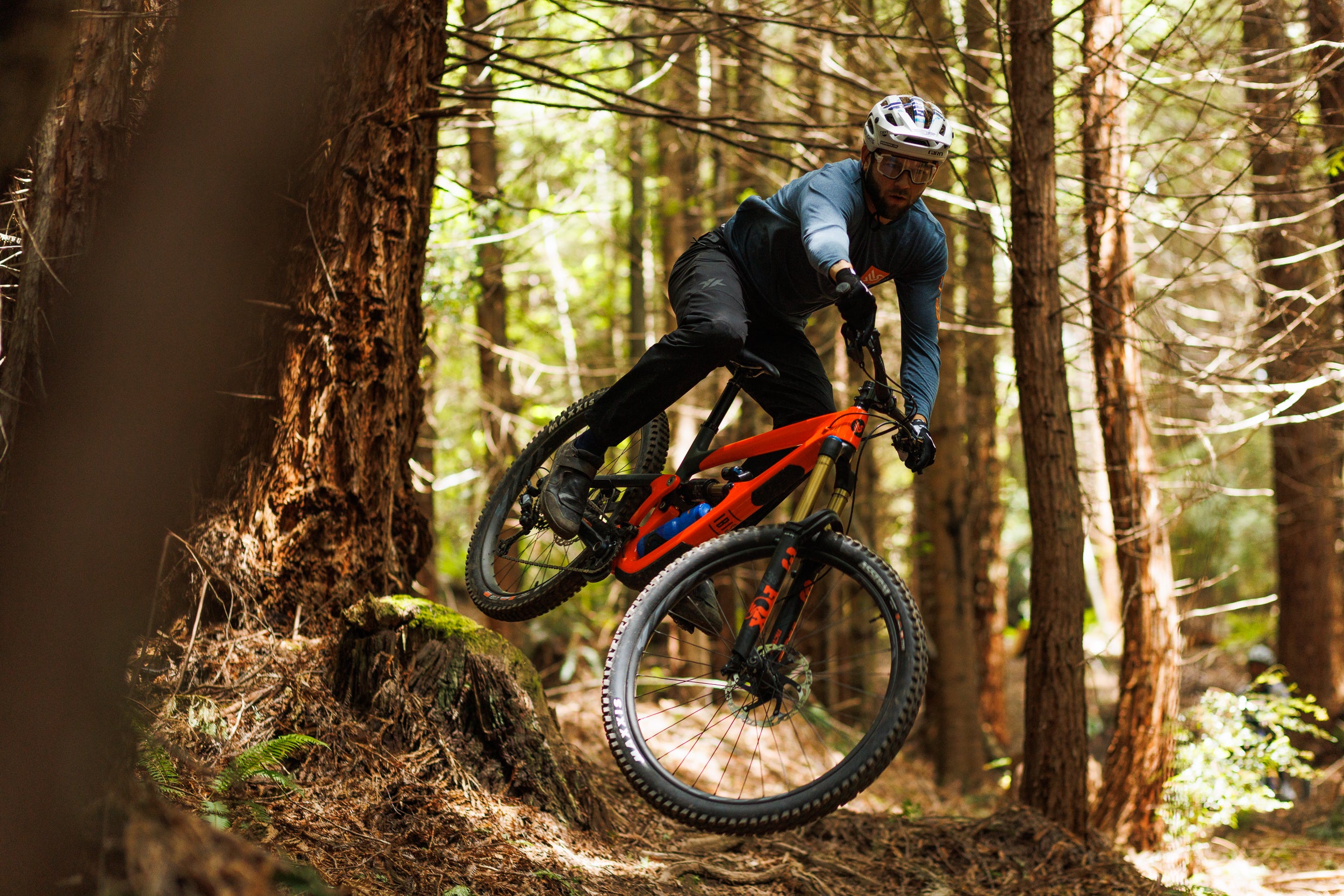 Ibis Cycles – Nelson Suspension