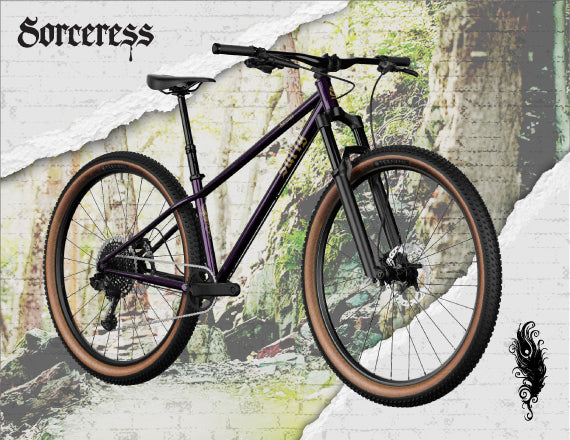 Surly Sorceress Spec 1 - Elderberry Tonic